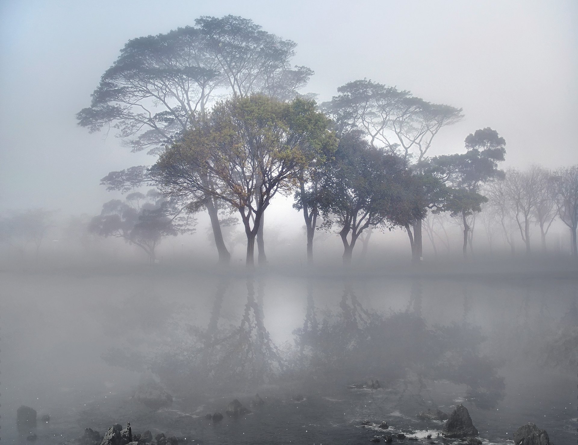 lac surface pierres arbres brouillard