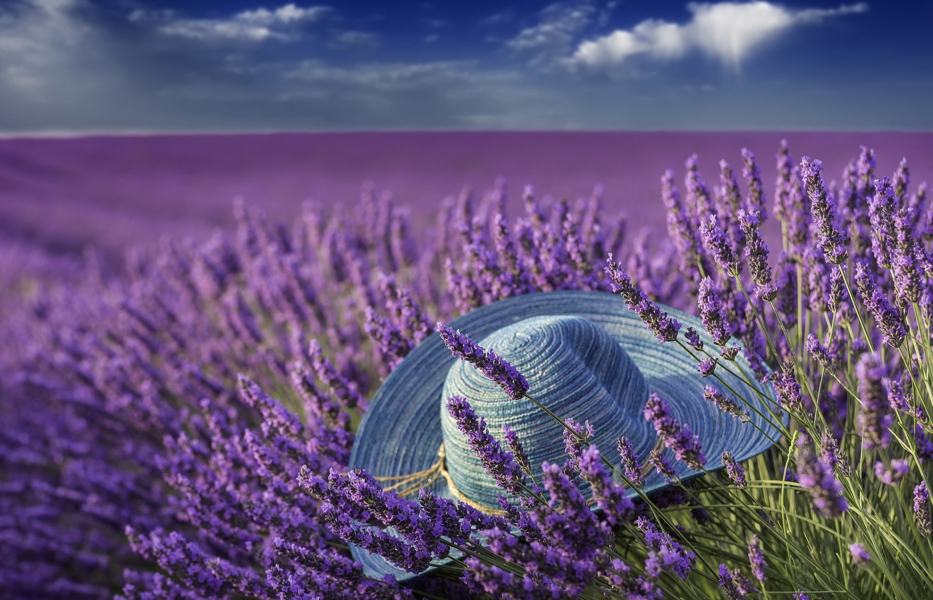 verano lavanda sombrero