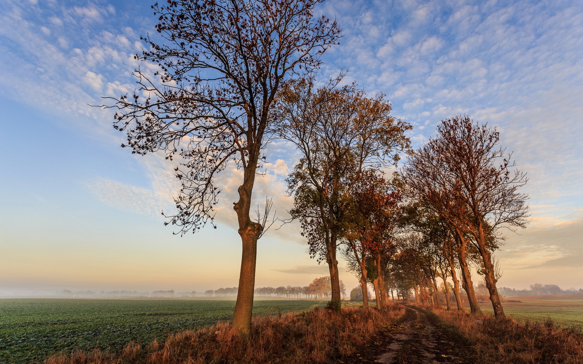 first touch of sun autumn nature