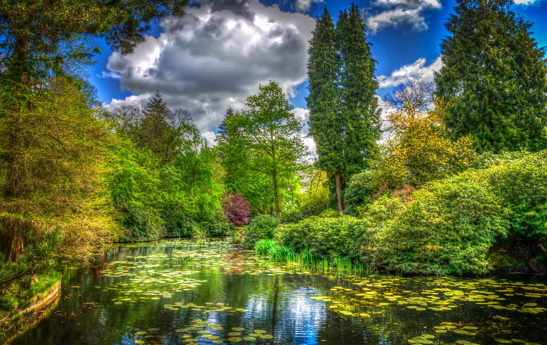 england tatton park park teich grüns gras büsche bäume wolken verarbeitung