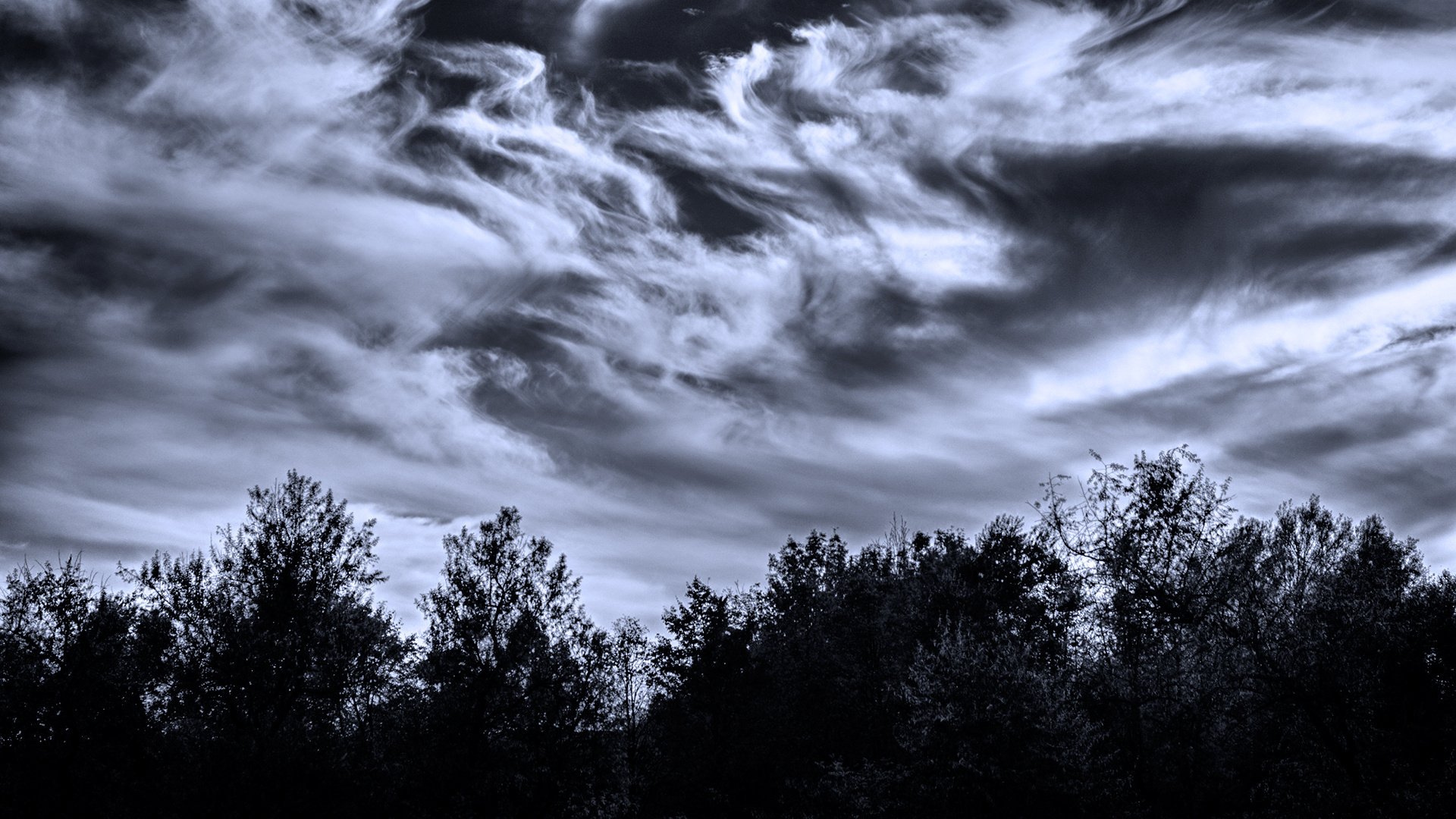 ky clouds twilight tree whimsical