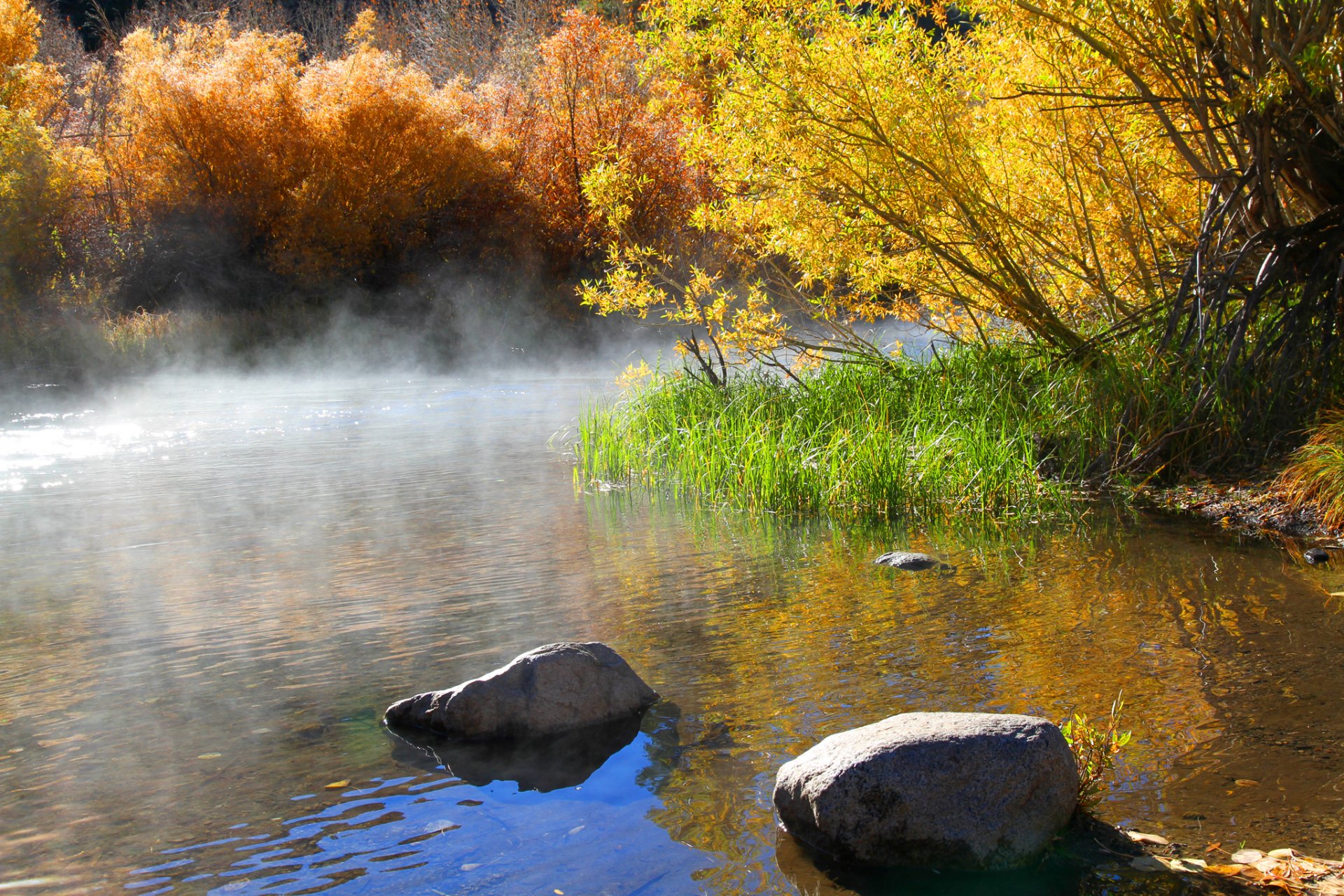 lago mattina nebbia alberi cespugli rocce autunno