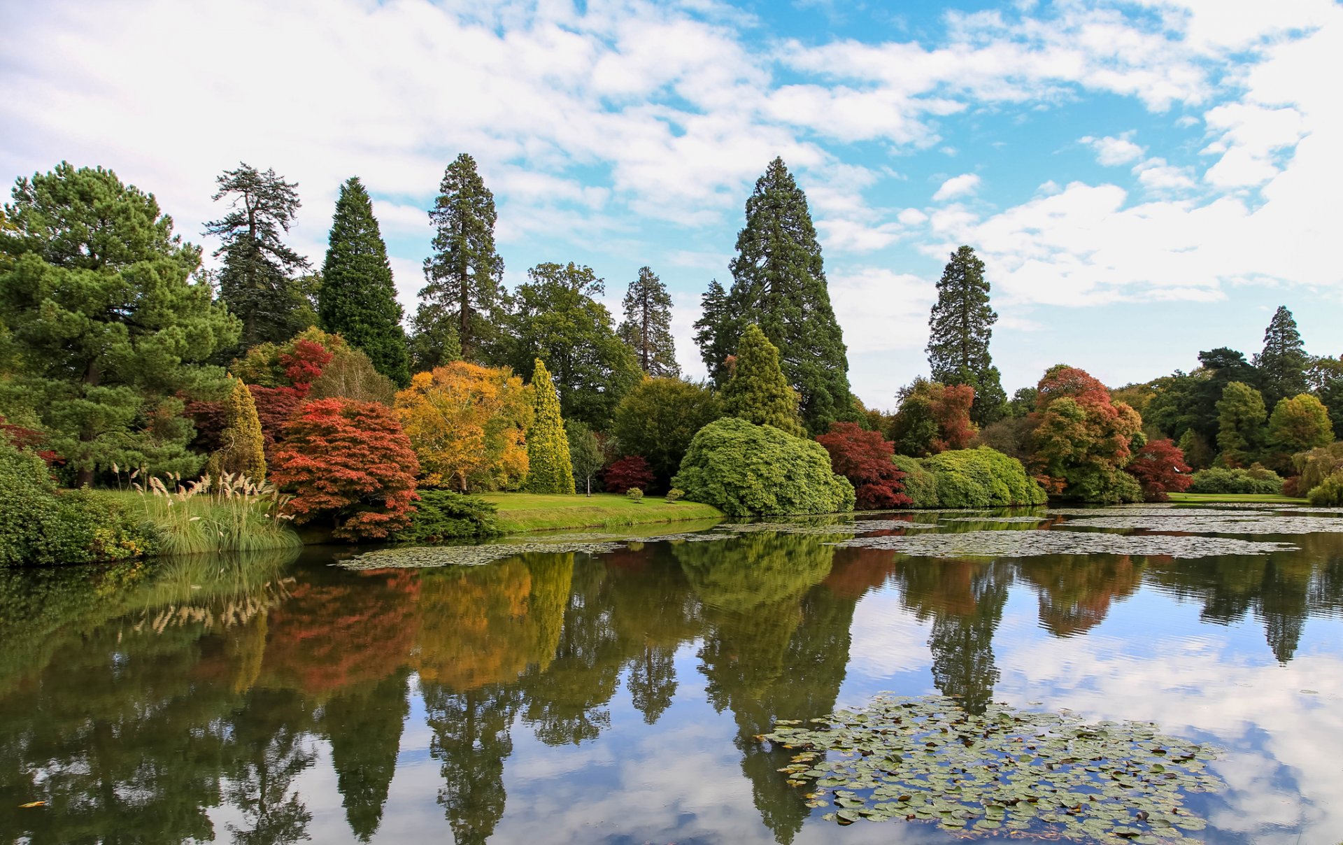 cielo nuvole parco stagno alberi autunno