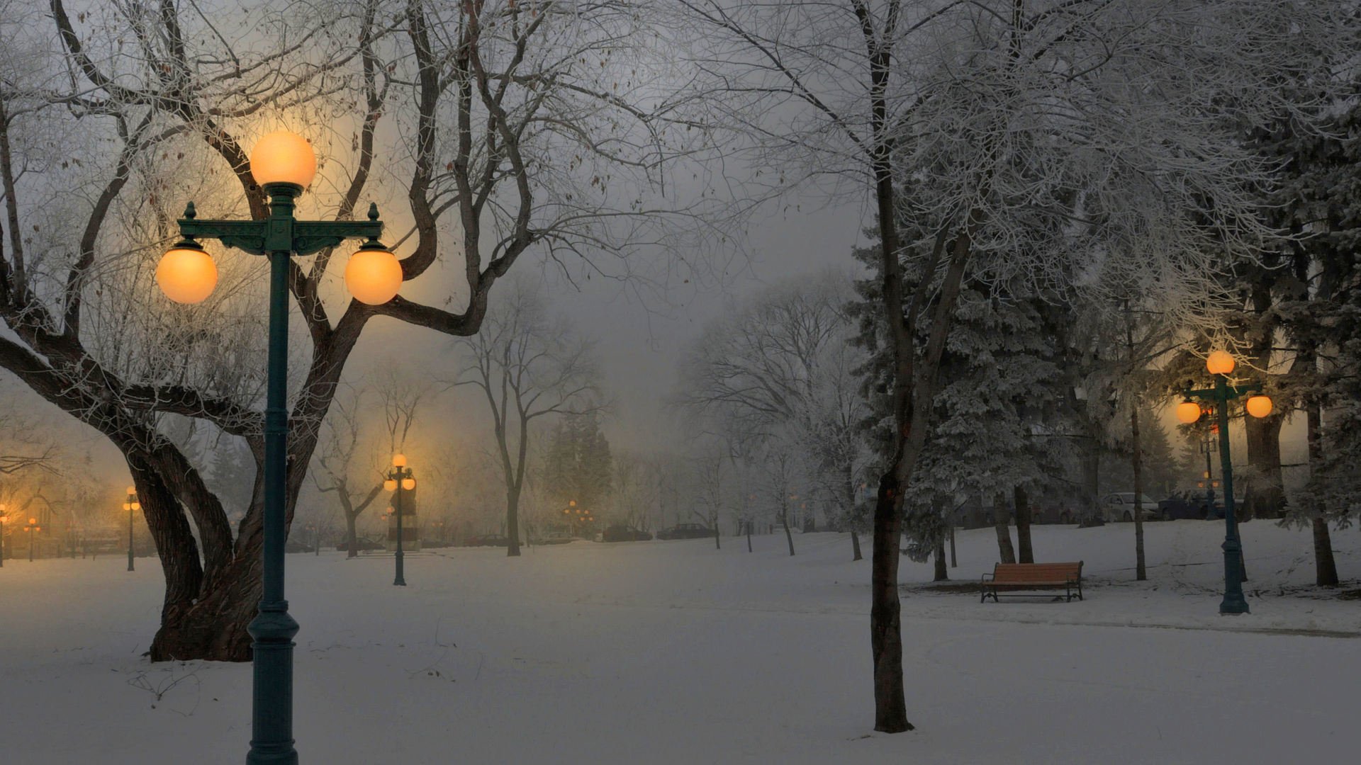 winter snow park benches lamps light