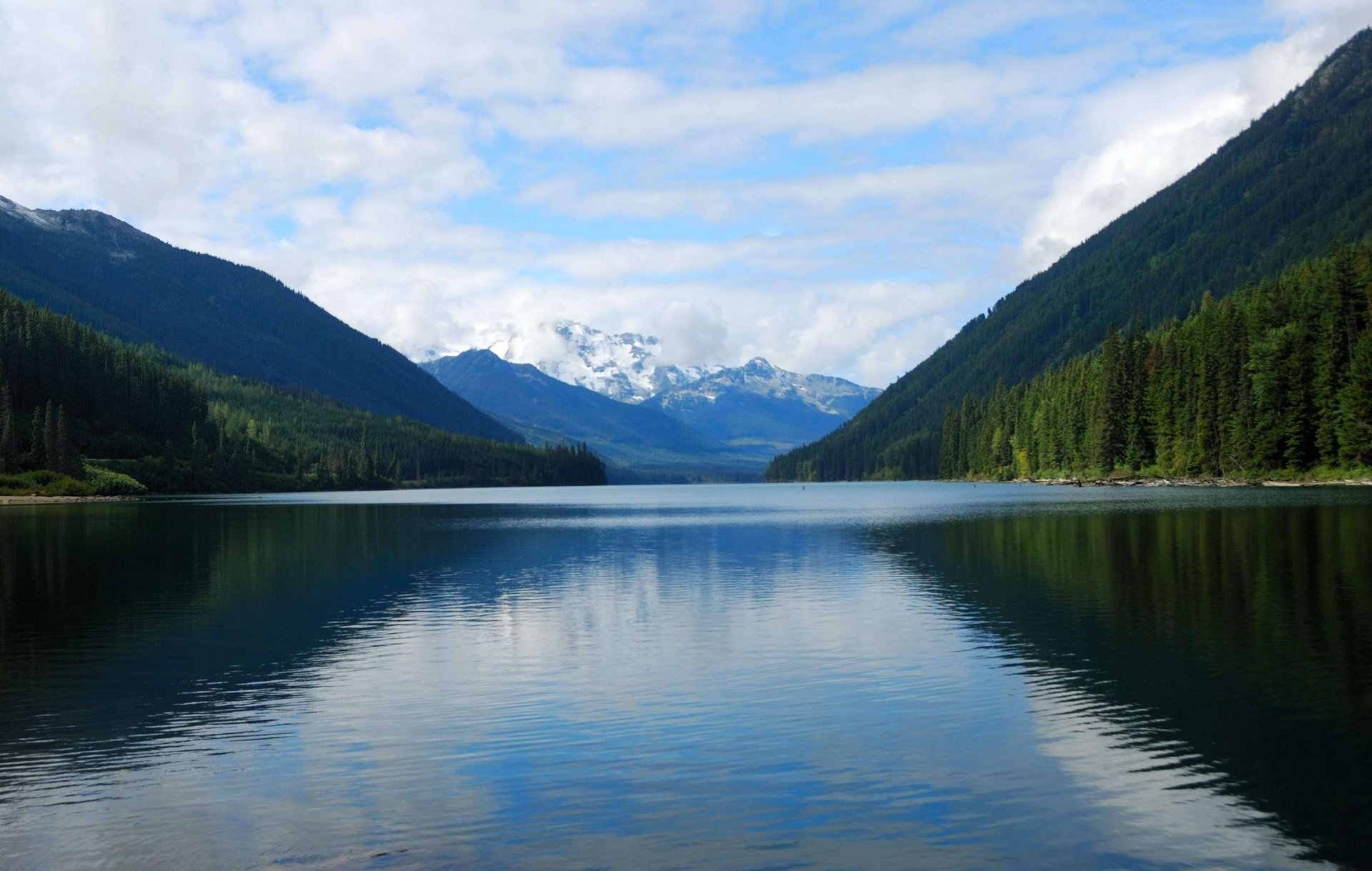 lago de montaña bosque naturaleza