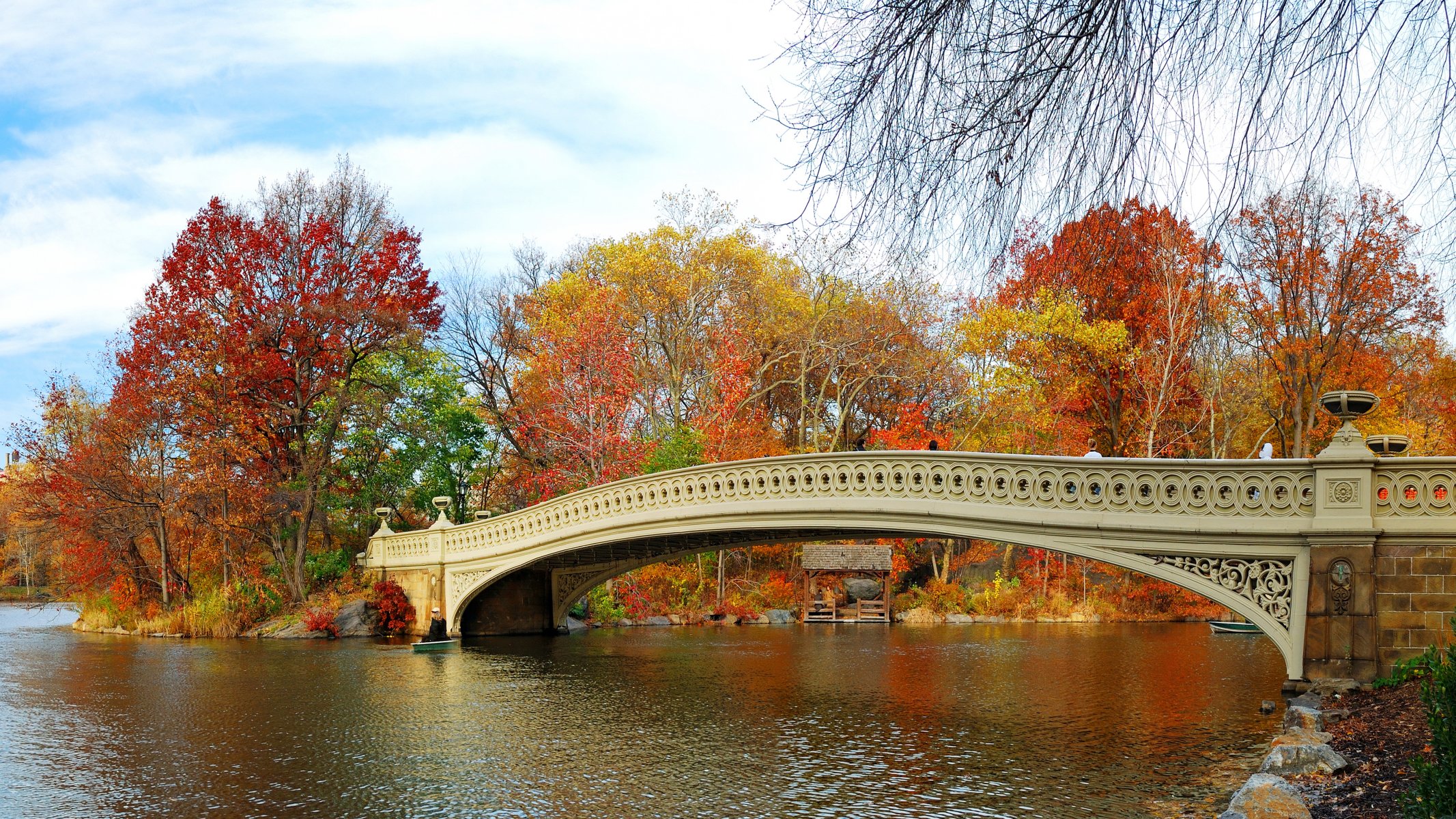 automne parc pont arbre nature paysage feuilles arbres rivière