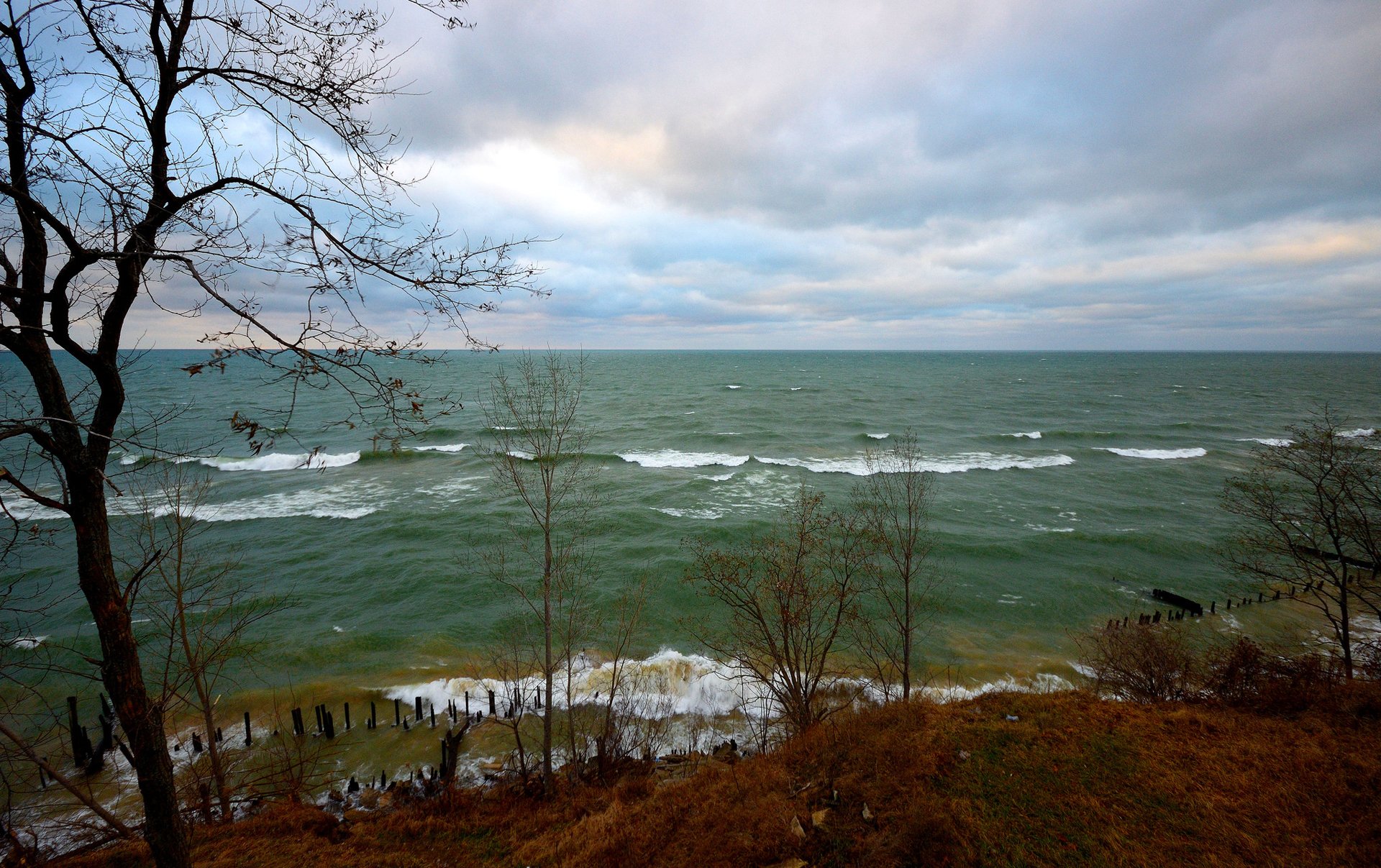 cielo nuvole mare vento onde alberi autunno