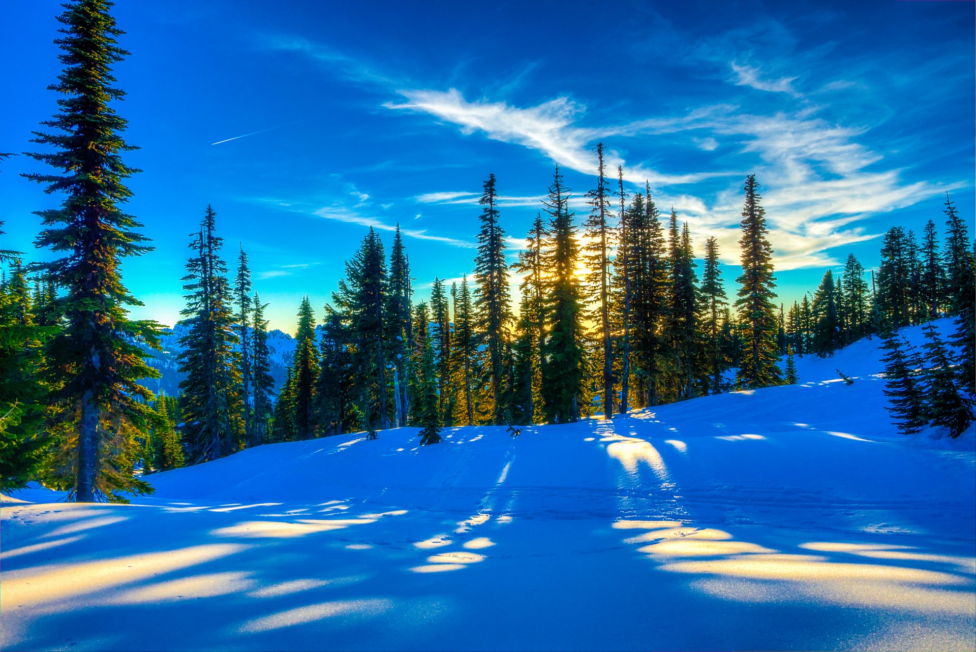 ciel coucher de soleil forêt arbres hiver pente neige sapin paysage