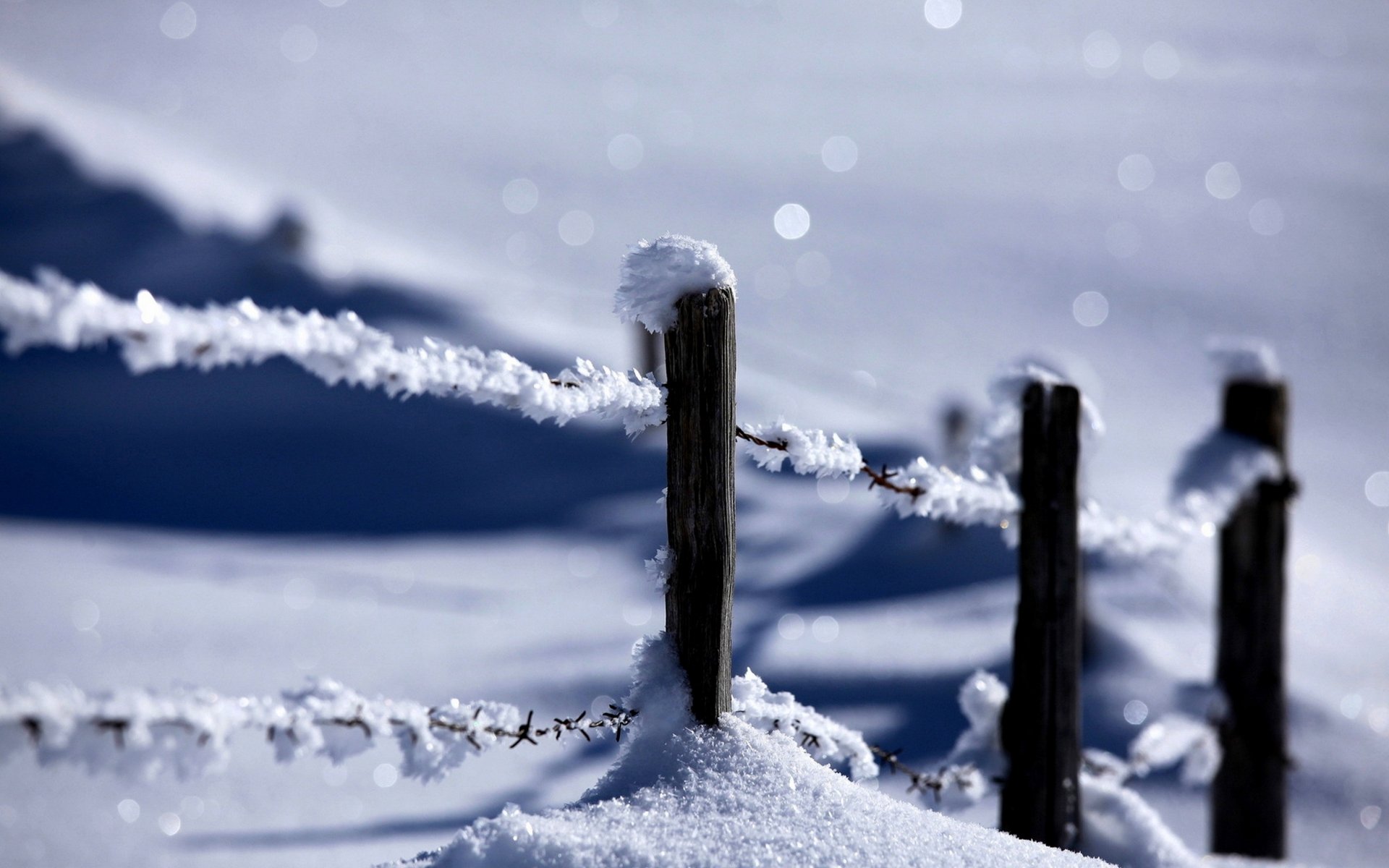 nature winter snow fence winter