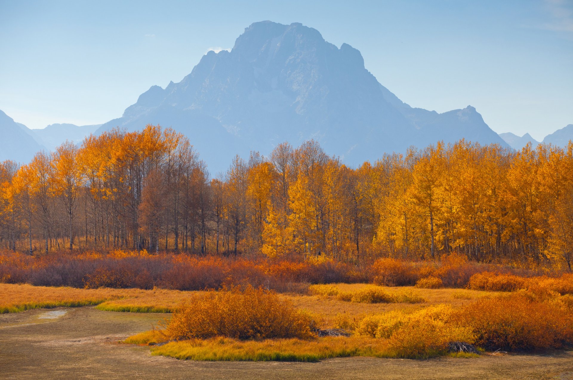 cielo montagne foschia autunno alberi