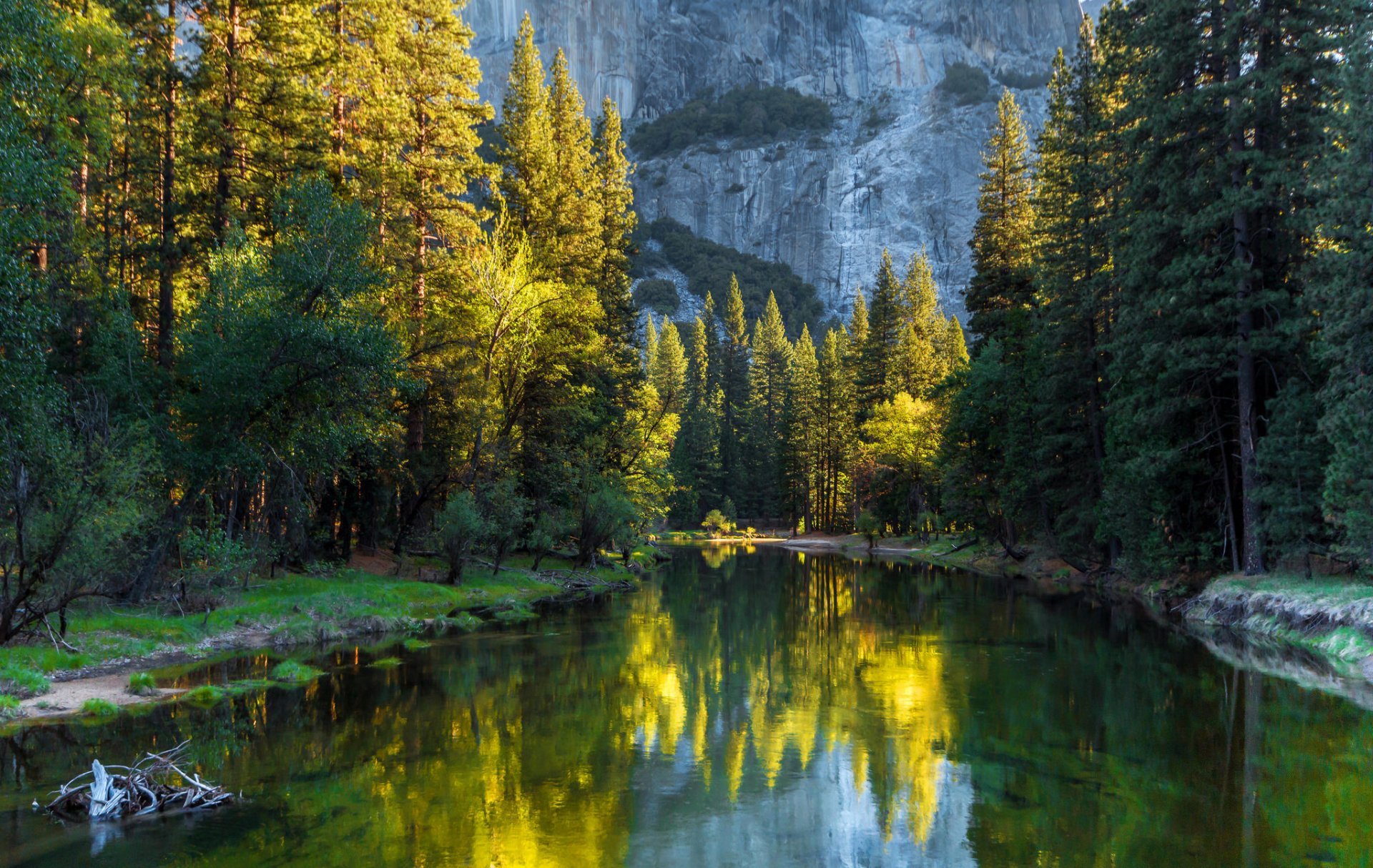 park narodowy yosemite kalifornia usa góry las drzewa rzeka