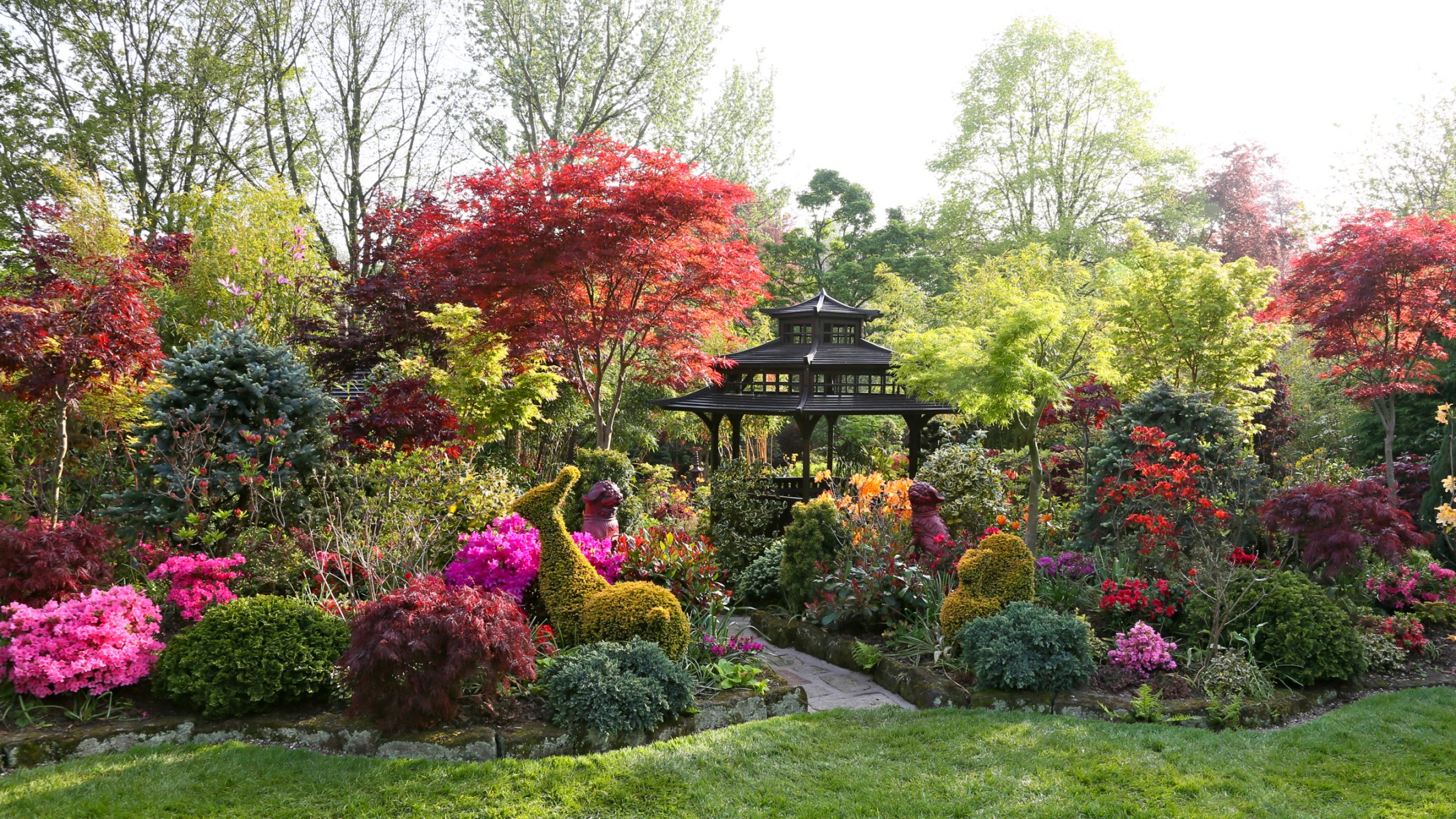 jardin gazebo passerelle pelouse buissons fleurs arbres conception