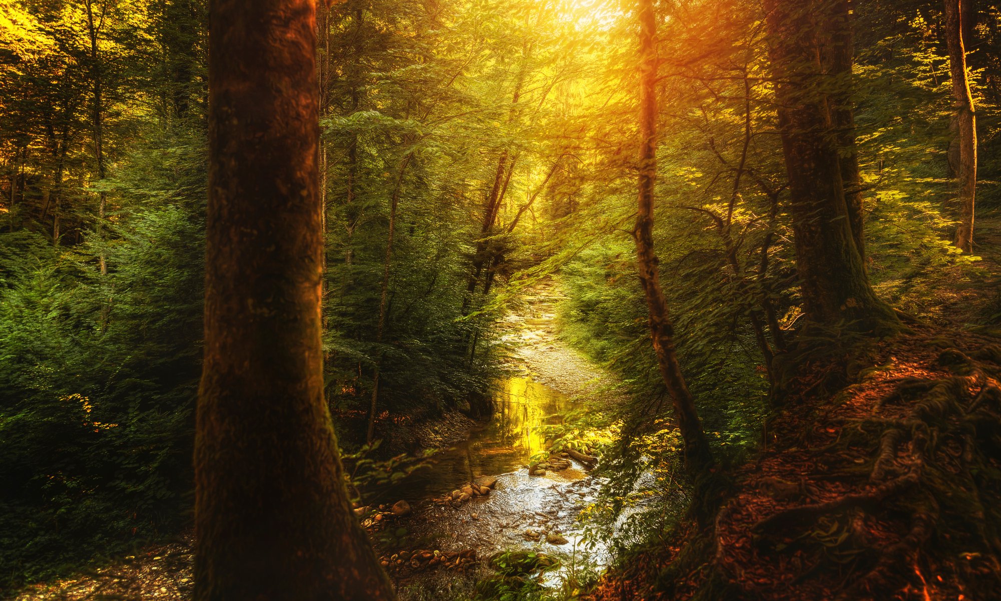 kleiner bach wald bach verarbeitung