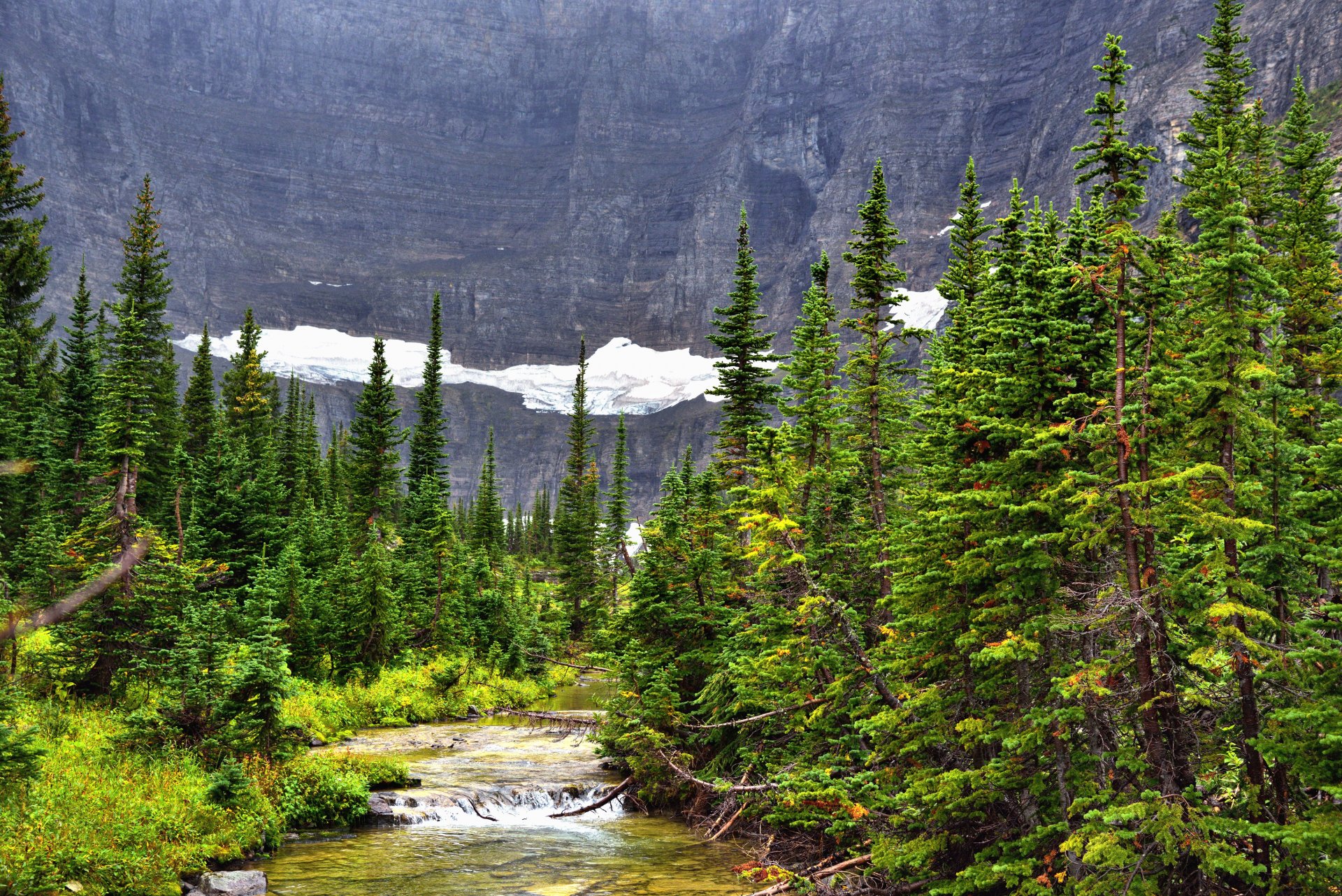 berge schnee fluss wald fichte