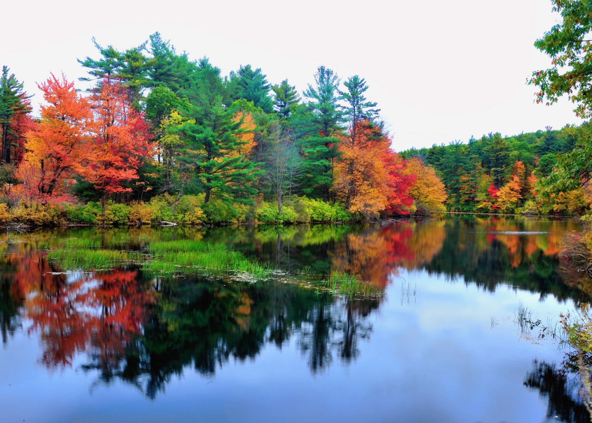 cielo lago agua reflexión bosque árboles río otoño