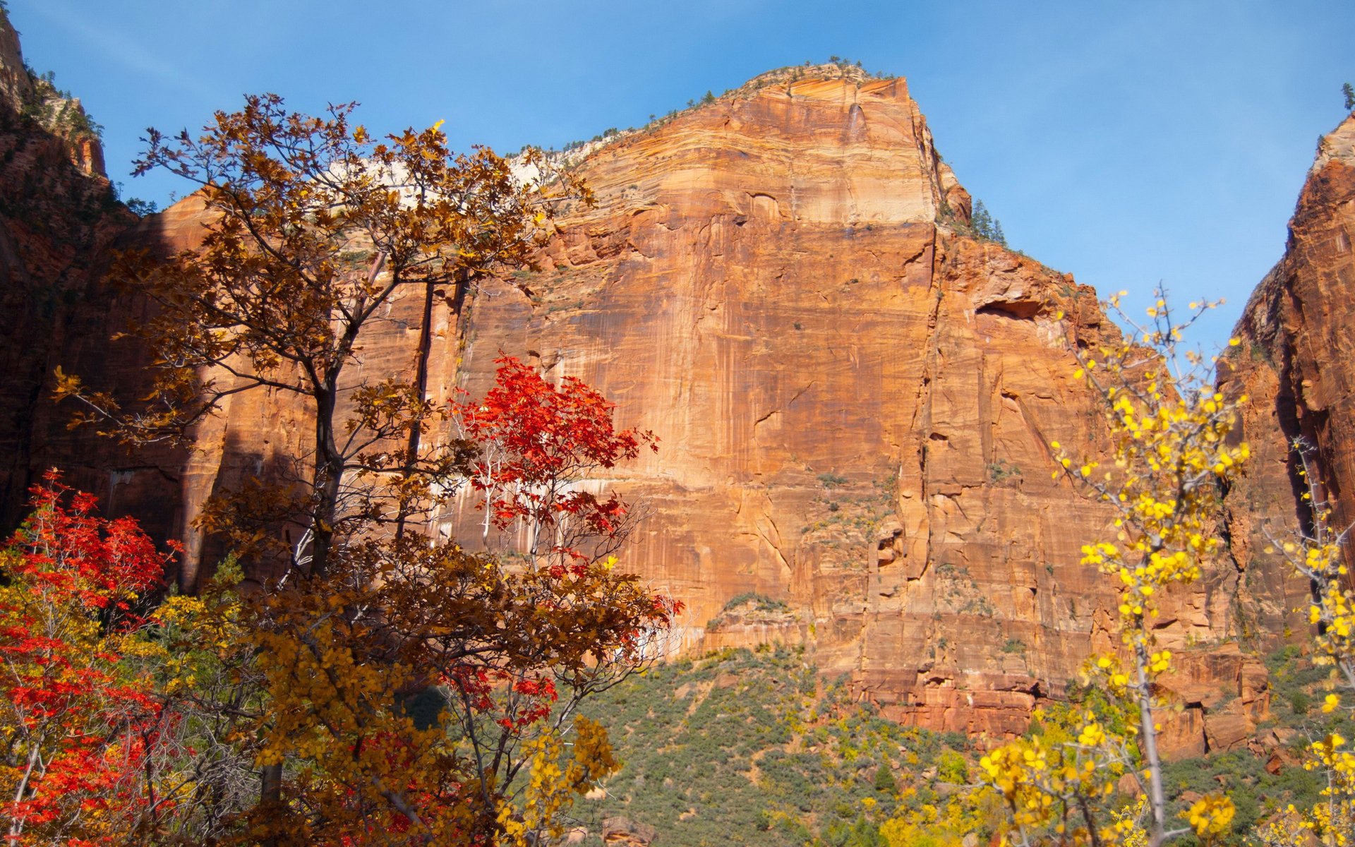 himmel berg rock bäume blätter herbst