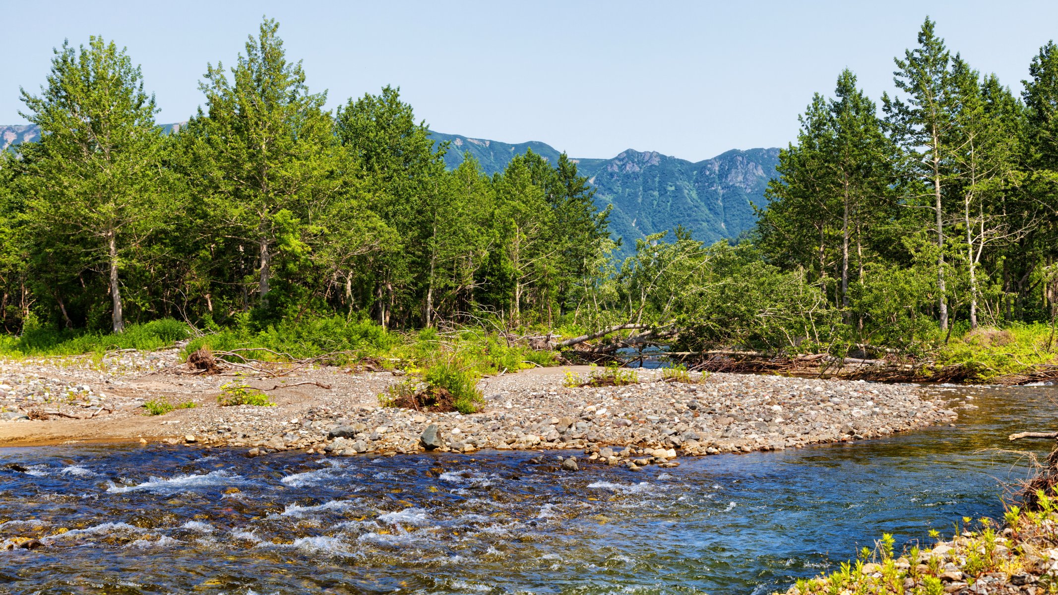 russie kamchatka kamchatsky ruisseau pierres arbres montagnes