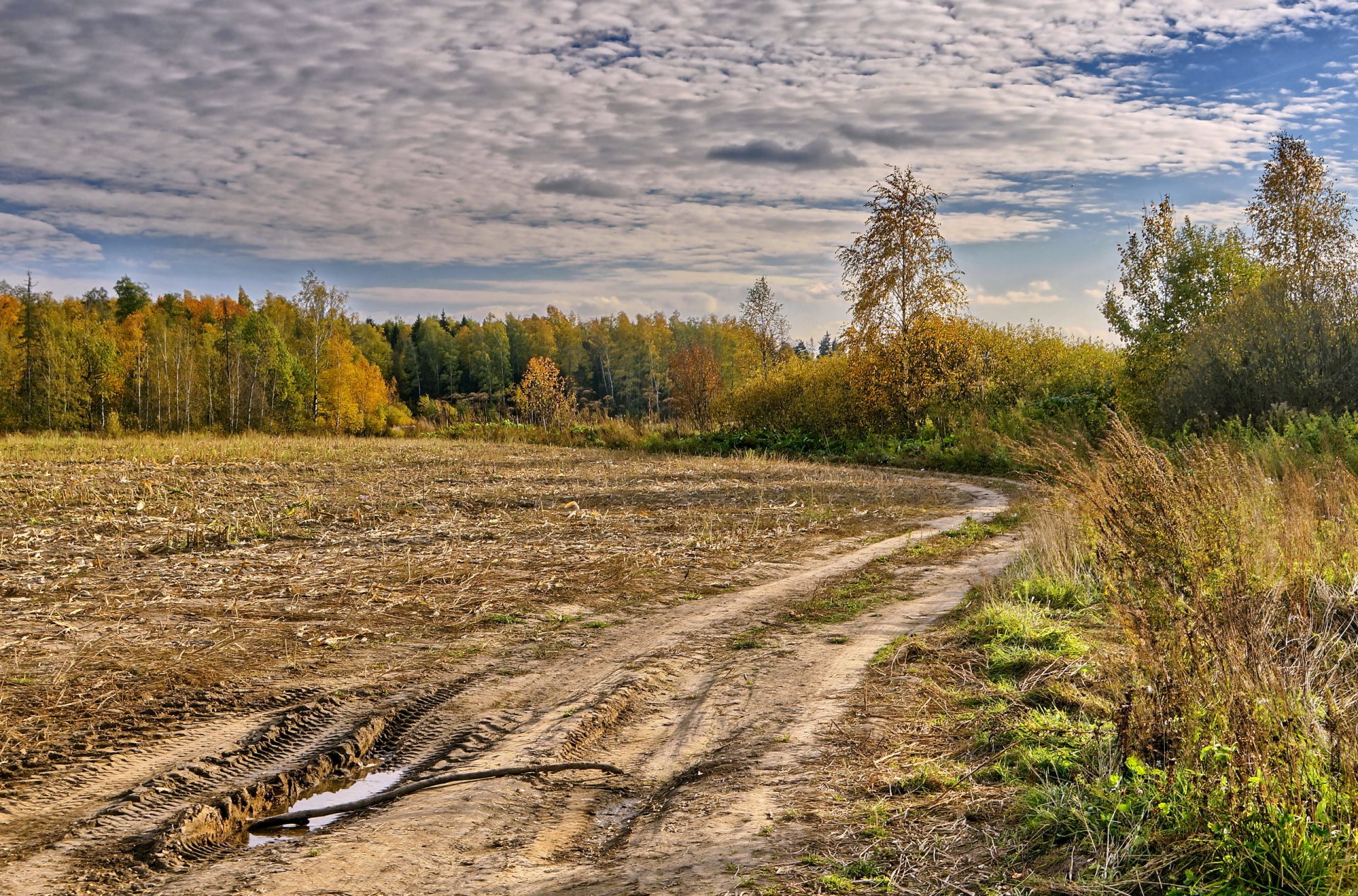 route automne paysage champ