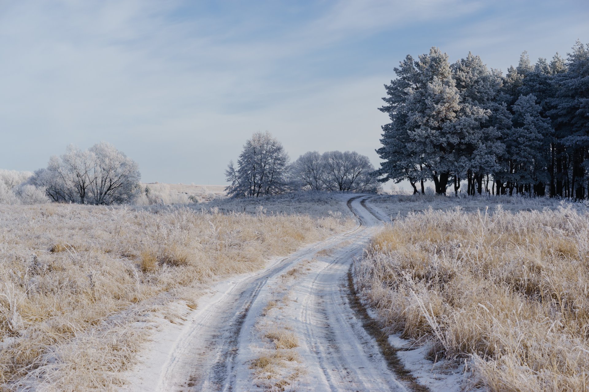 road the field frost winter