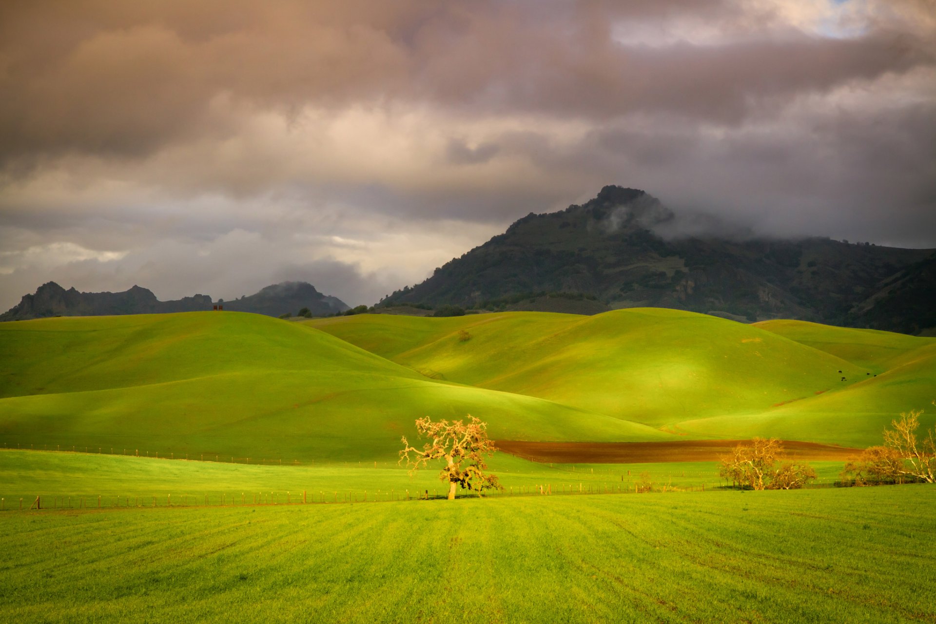 ciel nuages montagnes collines champ herbe arbres