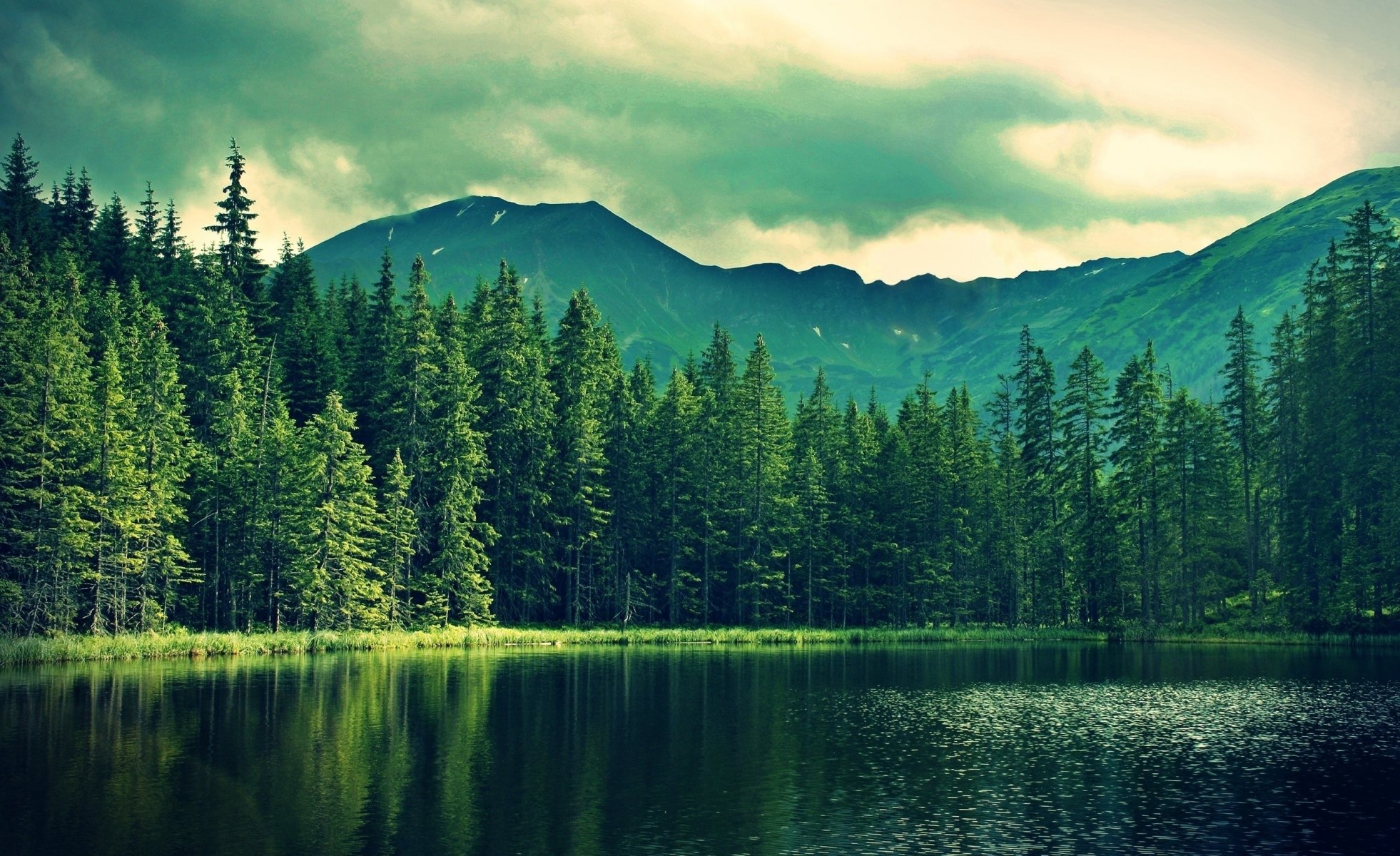 natur wald berge see bewölkt angeln schön