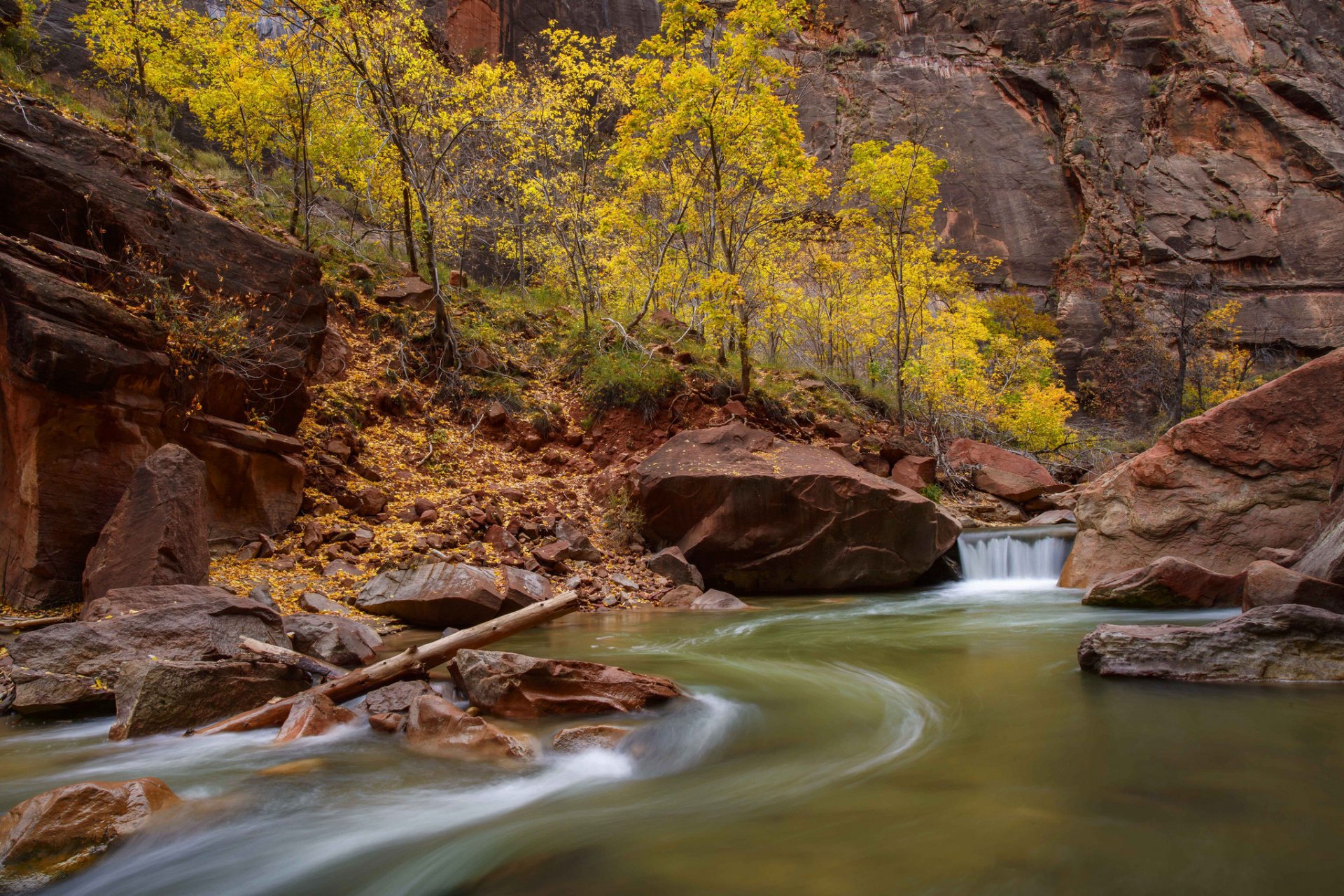 zion national park utah united states rock canyon tree river creek stone