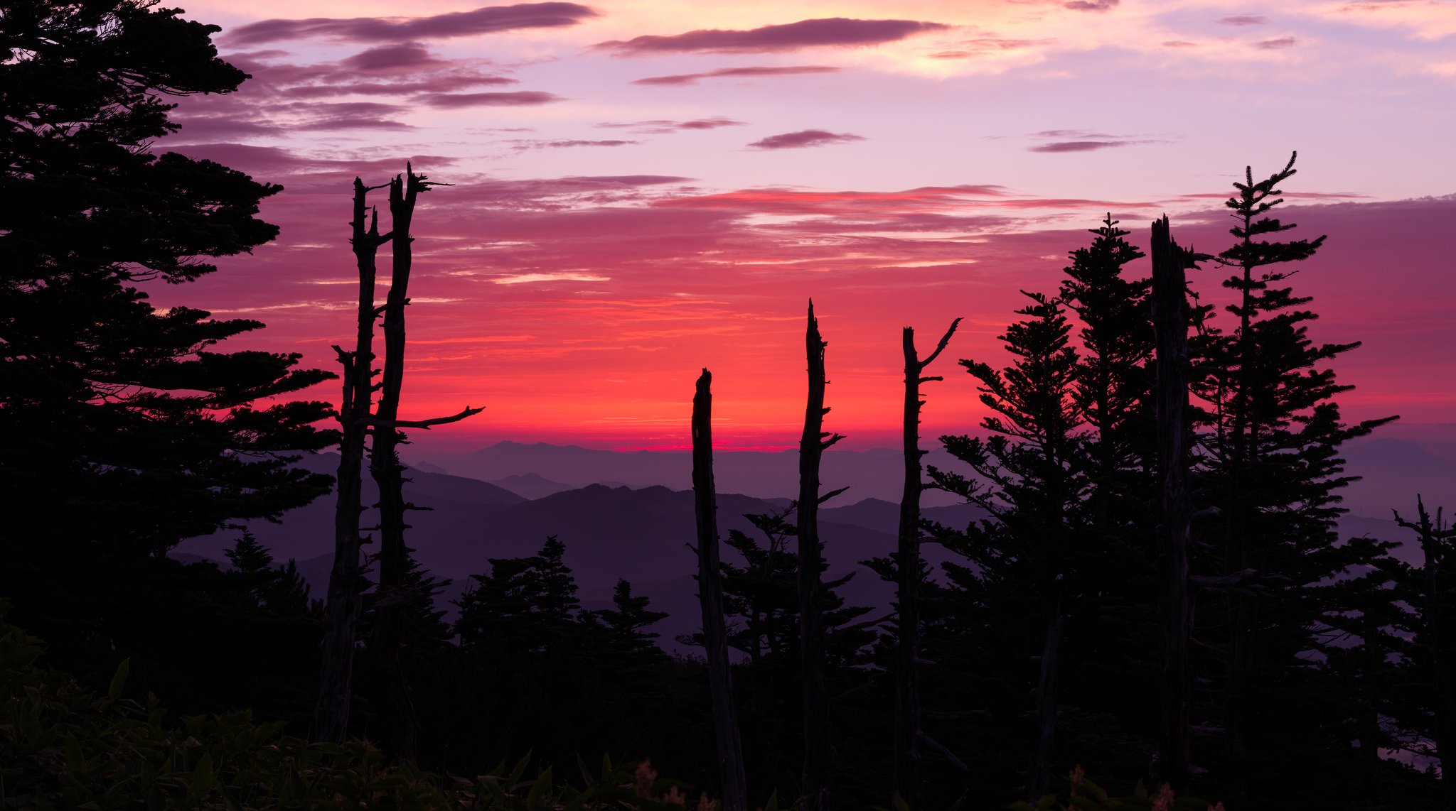 himmel sonnenuntergang glühen berge bäume silhouette