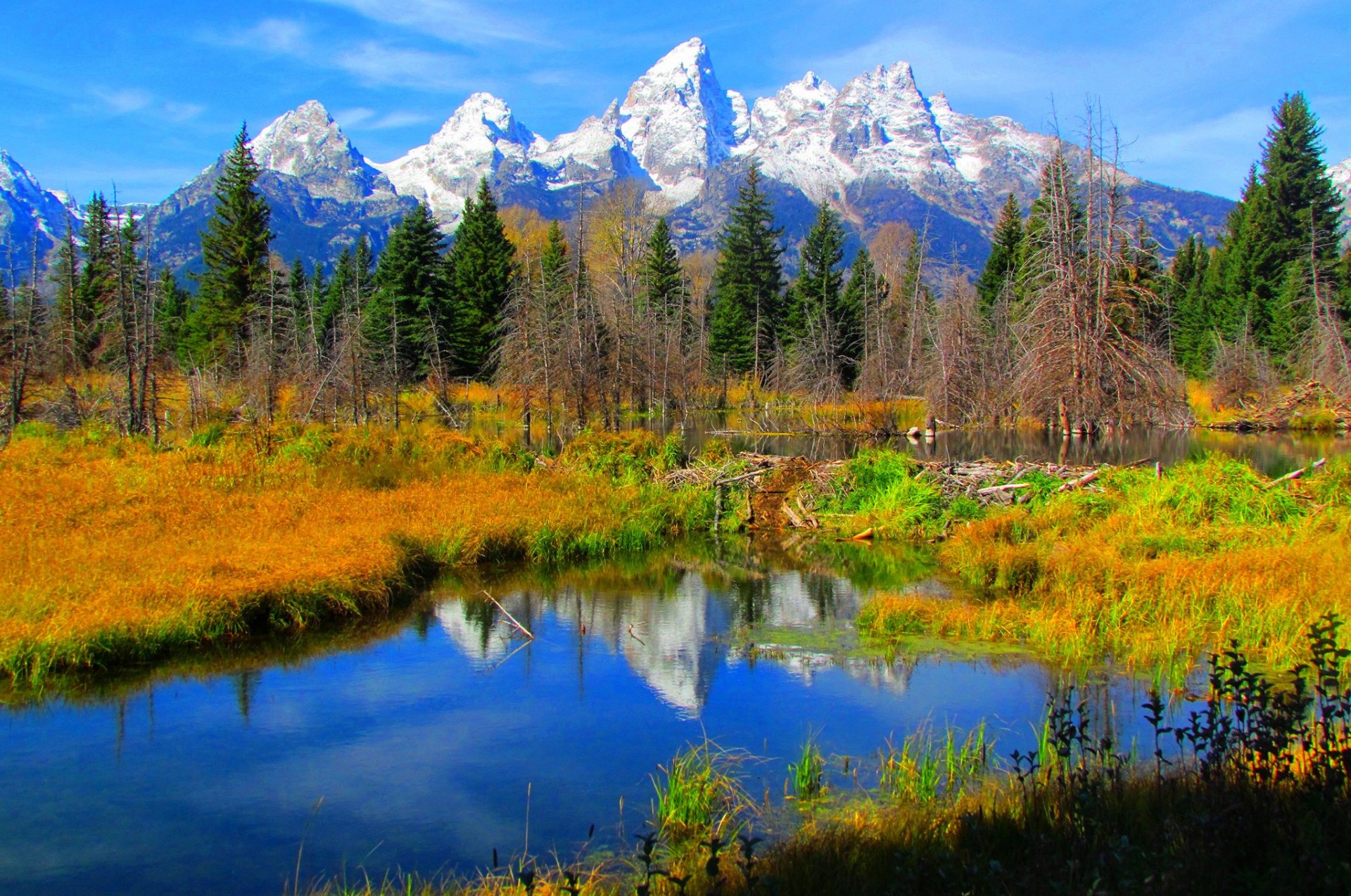 park narodowy grand teton wyoming usa góry jezioro odbicie drzewa jesień niebo trawa śnieg