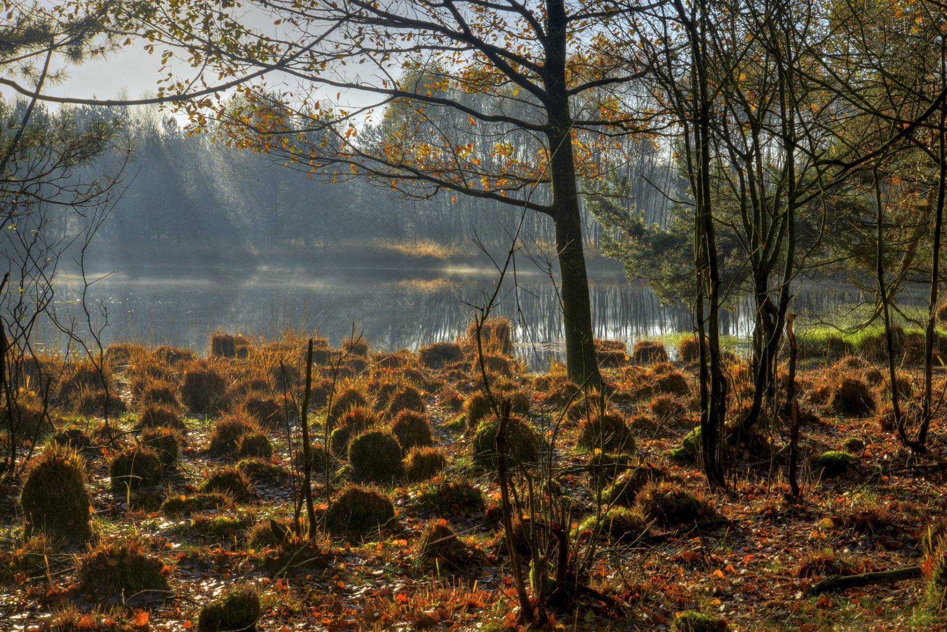 cielo lago dossi erba alberi autunno