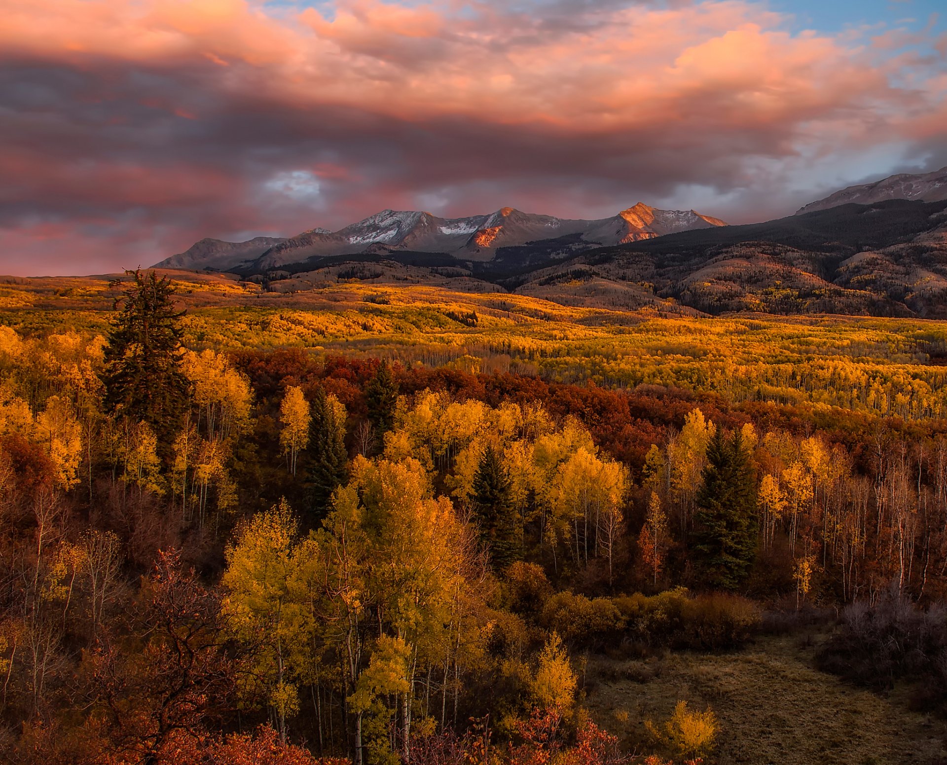 chaleur dorée automne montagnes arbres