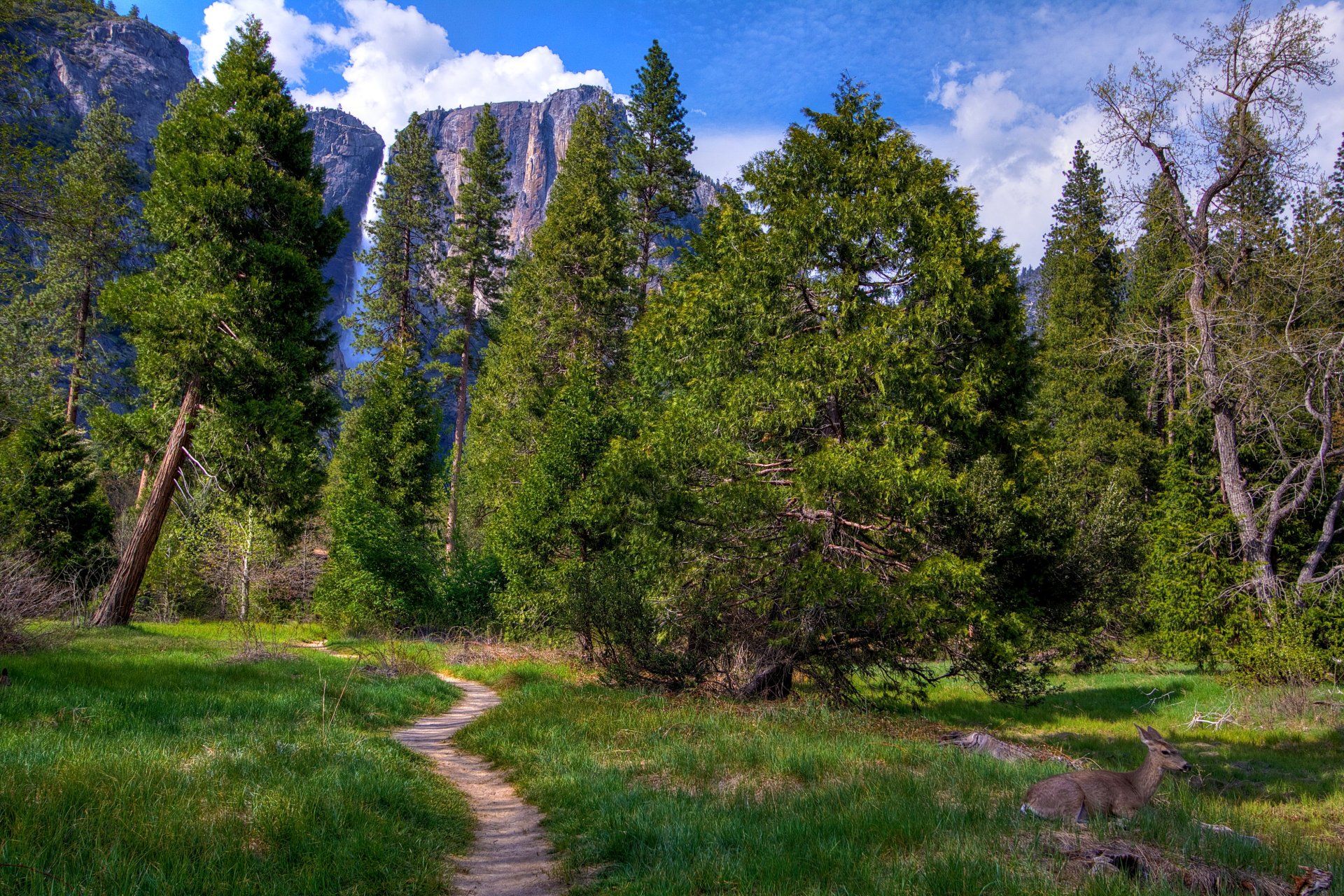 united states yosemite national park california mountain rock waterfall forest tree path field grass green