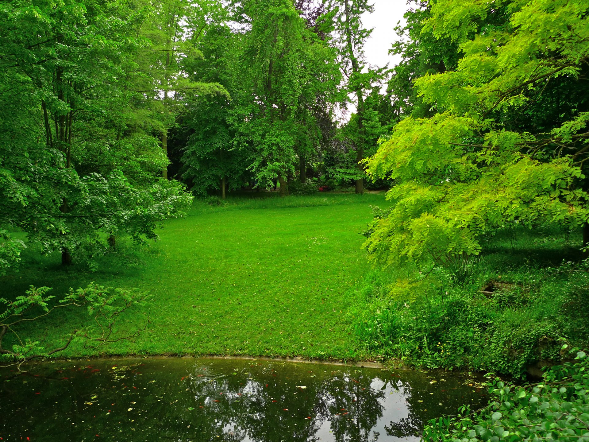 albert-kahn jardines japoneses francia parque estanque hierba árboles césped vegetación