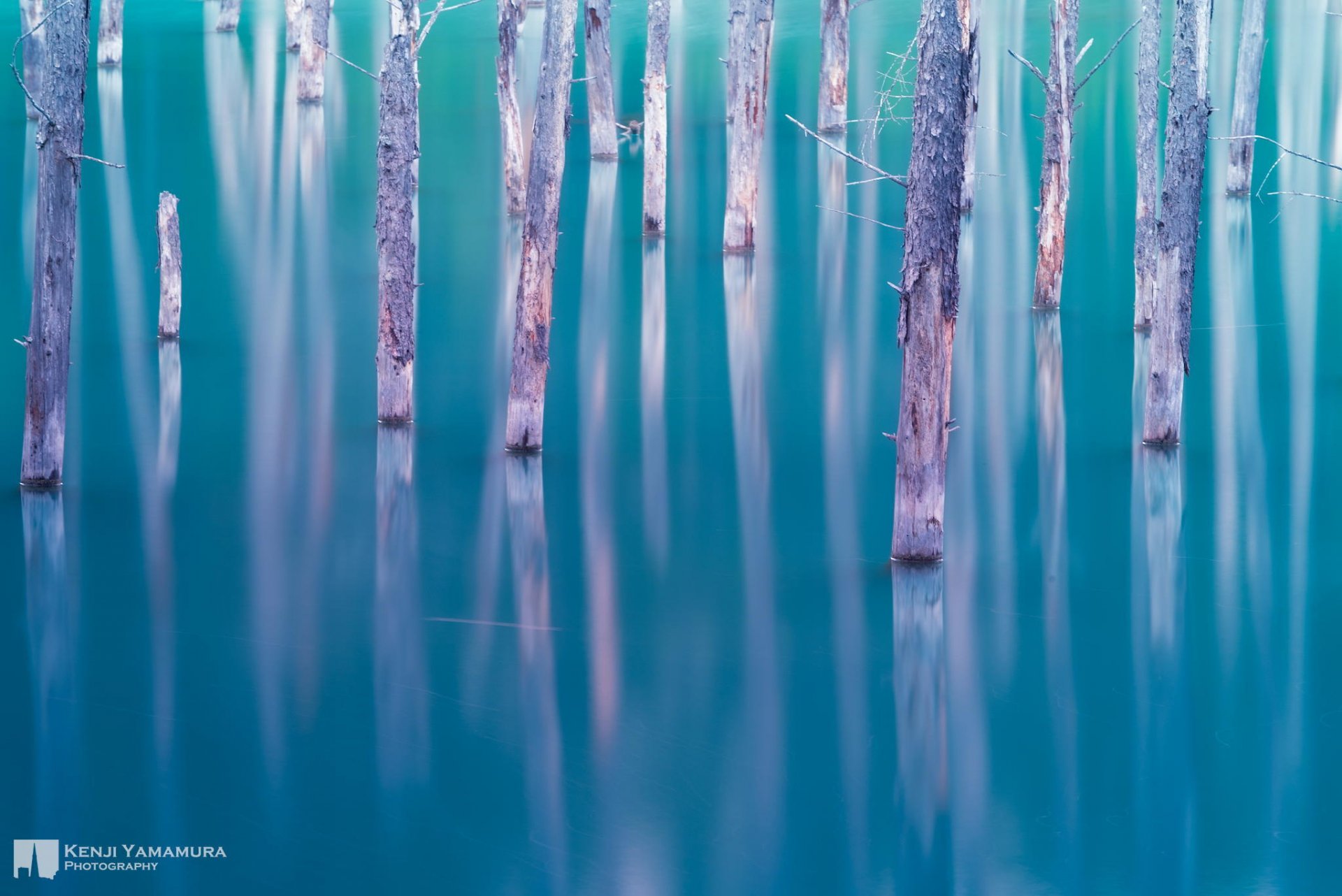 kenji yamamura fotógrafo lago japón árboles