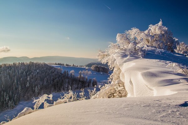 Montañas y árboles de invierno cubiertos de nieve