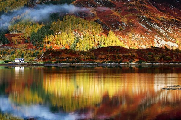 Reflet de la forêt dans l eau