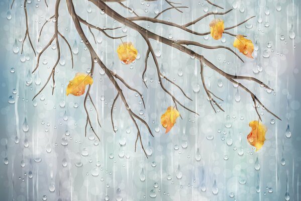 Rainy branches of autumn leaves