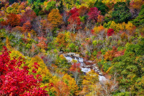 Mountain river in autumn trees