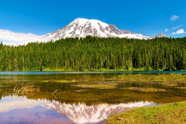 The mountain behind the trees is reflected in the lake