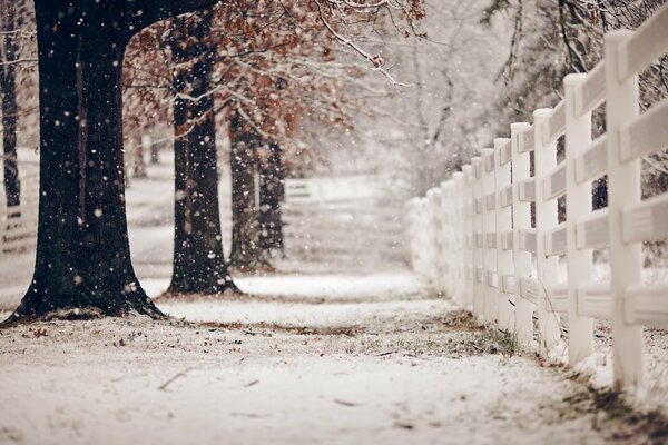 A snow-covered park with a white fence