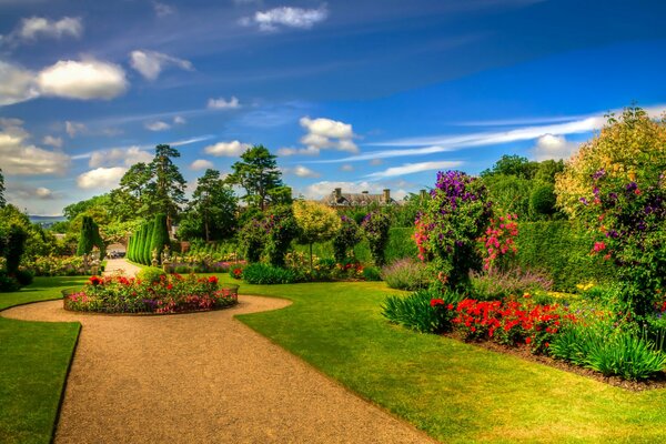 Scottish park with lawn and bushes