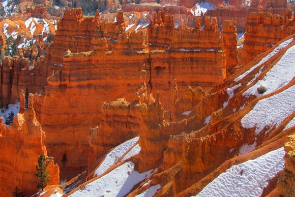 Bryce Canyon in un parco nazionale negli Stati Uniti