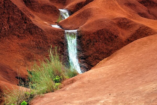 La naturaleza en las montañas es pobre. Arroyo que fluye