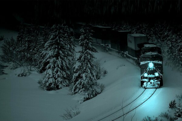 Paesaggio notturno. Treno nella foresta