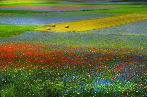 Prado de flores multicolor con pacas de heno