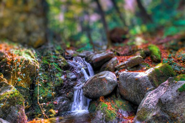 A stream flowing through the rocks