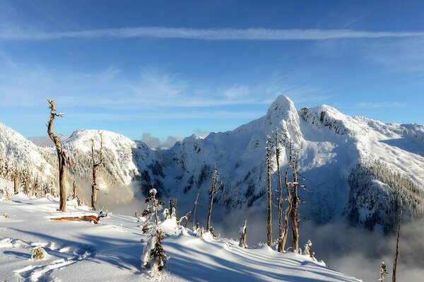 Sunny winter day in the mountains