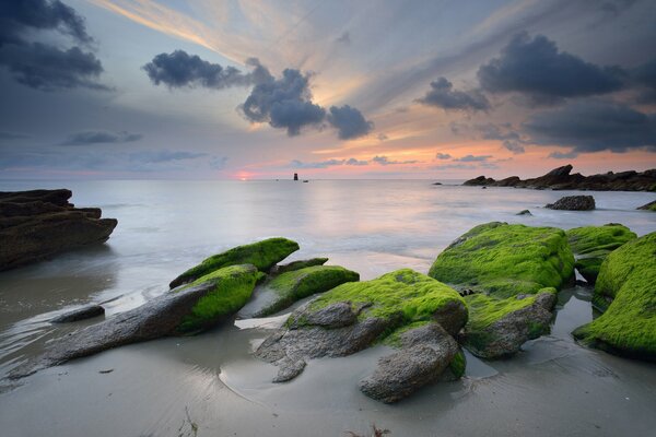 KK Amni overgrown with algae on the sandy shore