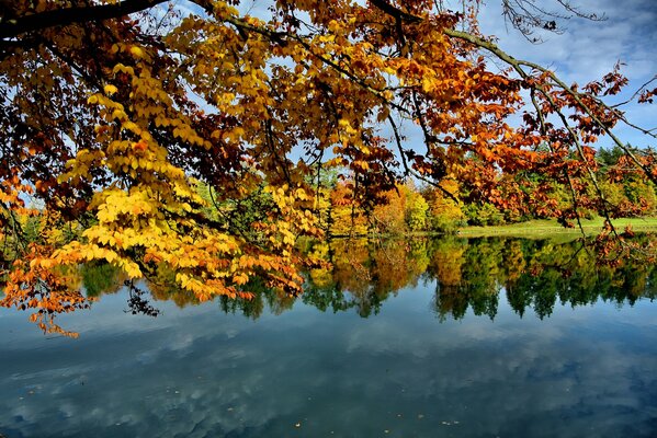 Der goldene Herbst ist gekommen