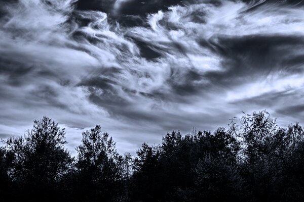 Bizarre Wolken, Bäume in der Dämmerung