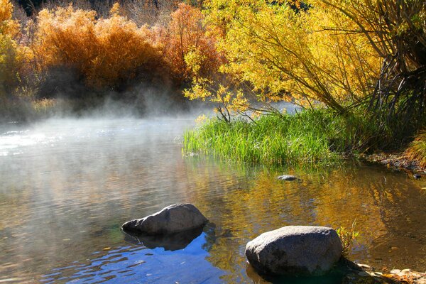 Pierres de rivière dans le brouillard du matin